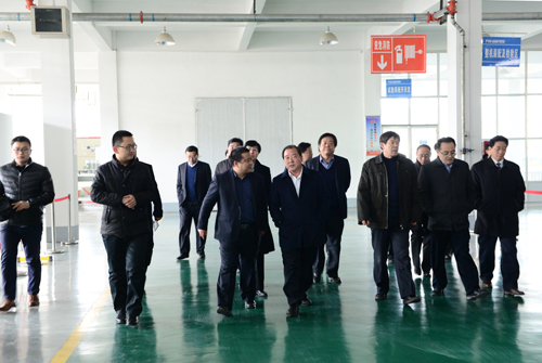 王顶岐参观考察华体会公司